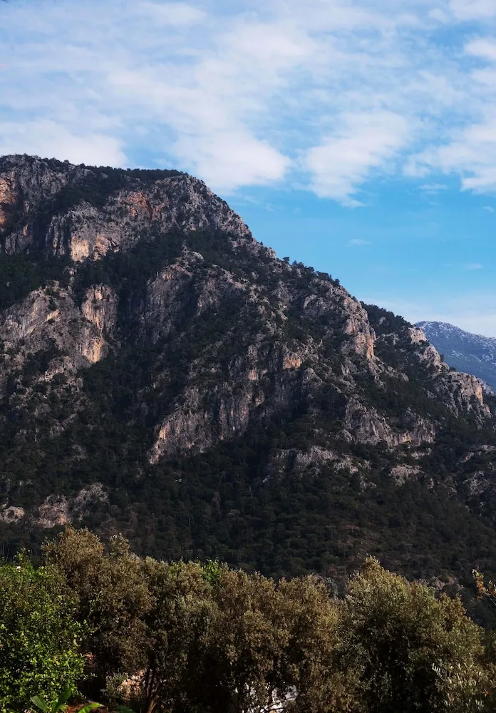 Panoramic Bungalov, Deniz Manzaralı