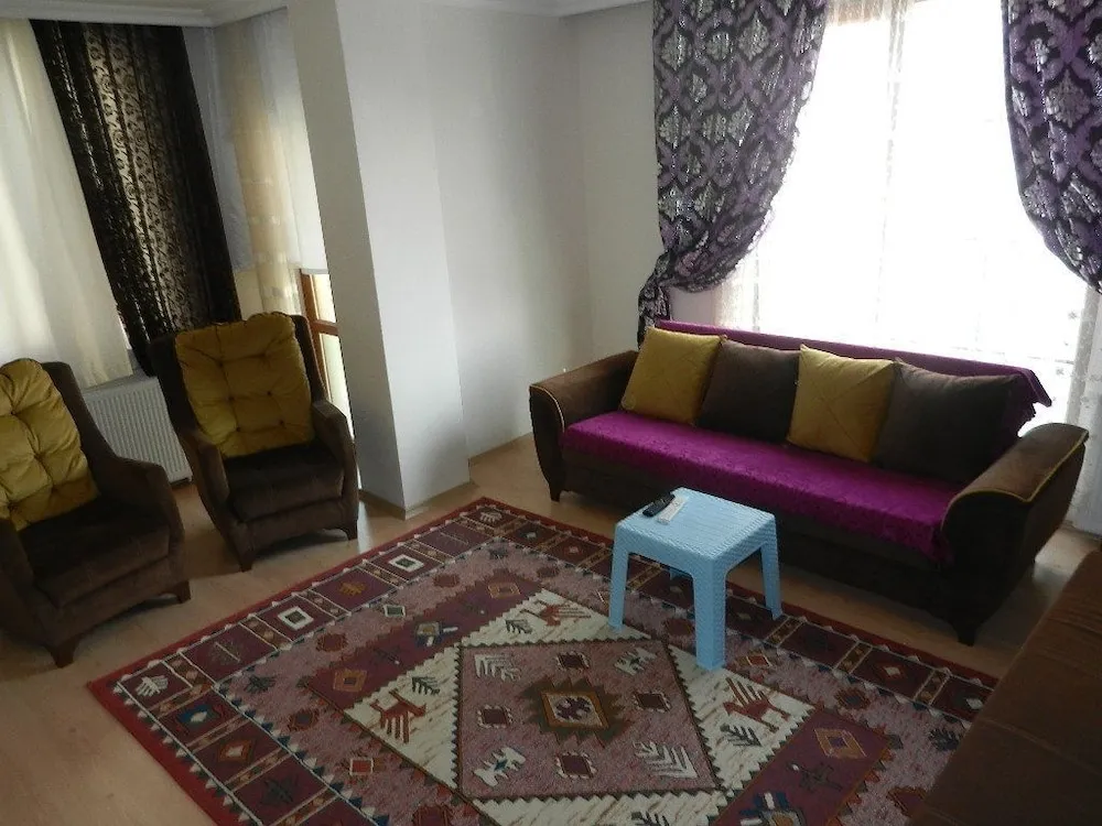 Apart Daire, 1 Yatak Odası