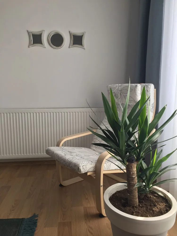 Standard Apart Daire, 1 Yatak Odası