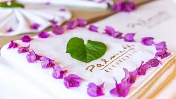 Palmetto Resort Hotel