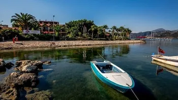 Palmetto Resort Hotel