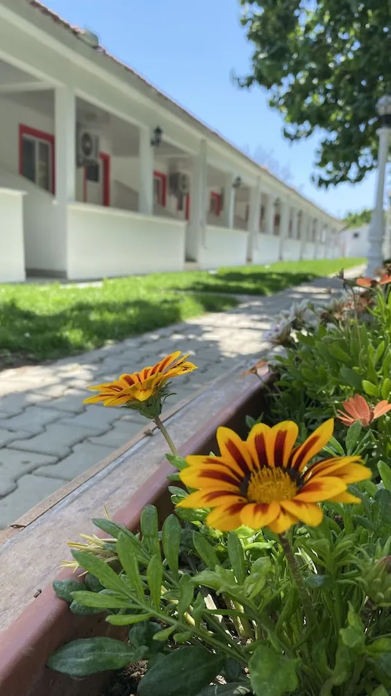 Apart Daire, Kısmi Deniz Manzaralı