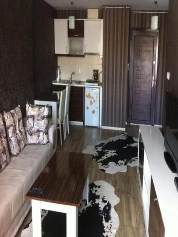 Apart Daire, 1 Yatak Odası