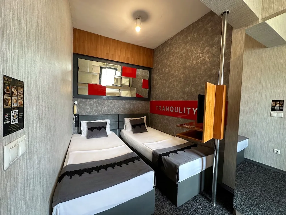 Standard İki Ayrı Yataklı Oda, 2 Tek Kişilik Yatak, Sigara İçilmez