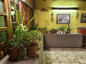 Simurg Evleri Olympos