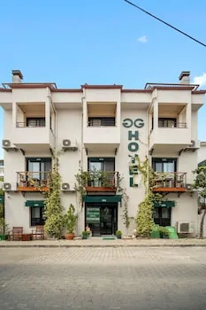 The Green Goose Hotel