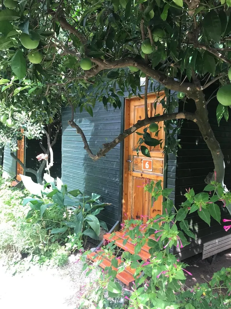 Üç Kişilik Oda