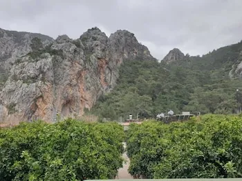 Olympos Tatilya Pansiyon