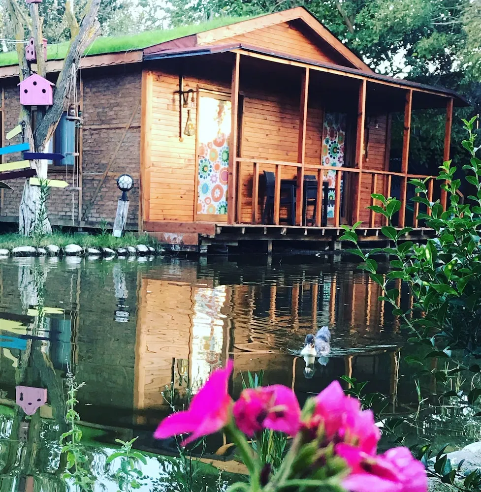 Stüdyo Süit, 1 Yatak Odası
