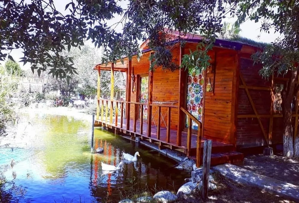 Stüdyo, 1 Yatak Odası, Göl Manzaralı