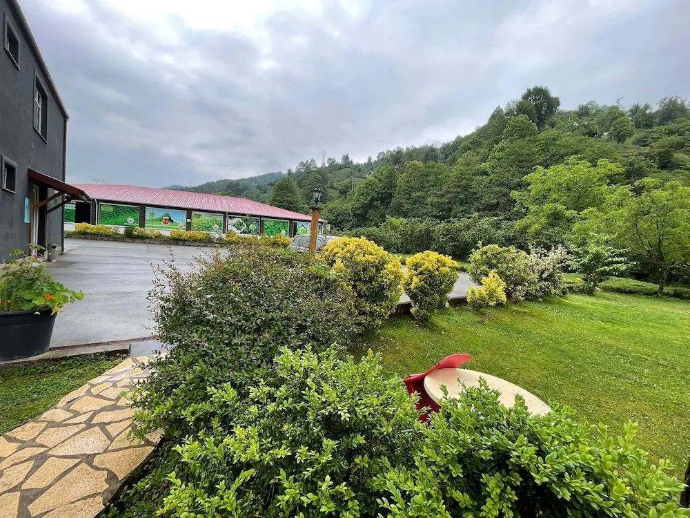 Basic Dört Kişilik Oda, Sigara İçilmez, Havuz Manzaralı
