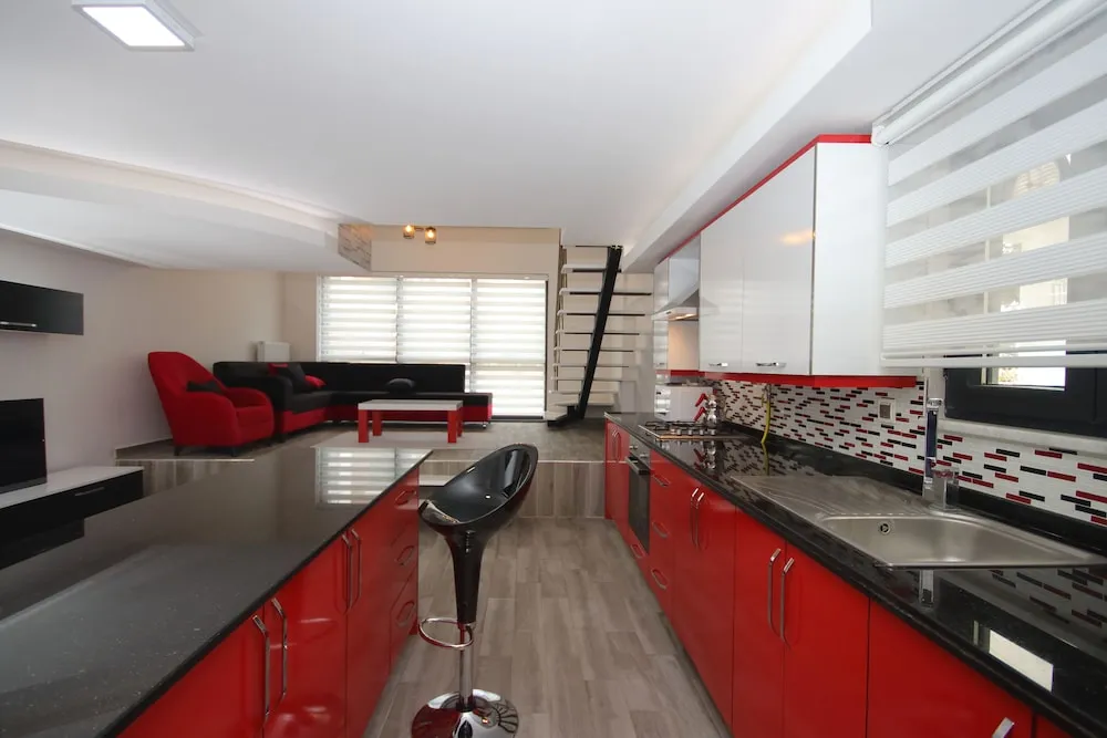 Çatı Katı (Loft), 1 Yatak Odası (Duplex)
