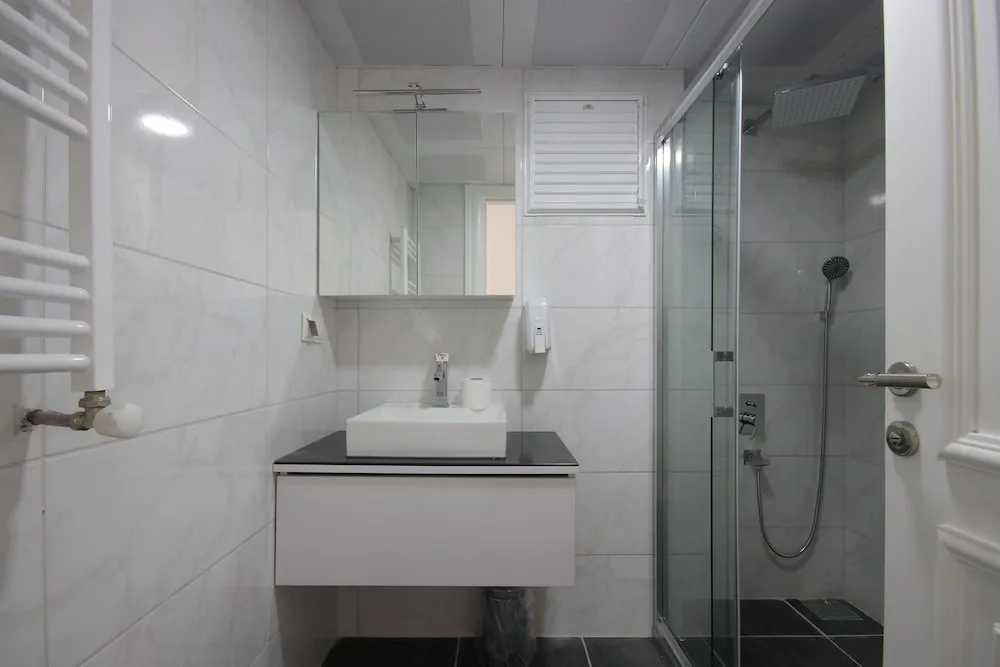 Çatı Katı (Loft), 1 Yatak Odası (Duplex)