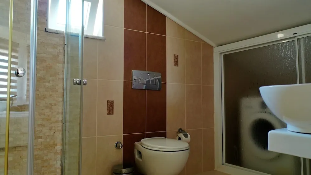 Traditional Villa