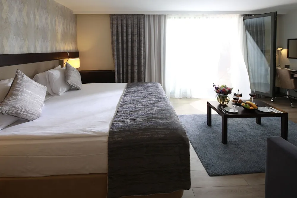 Deluxe Room with Terrace