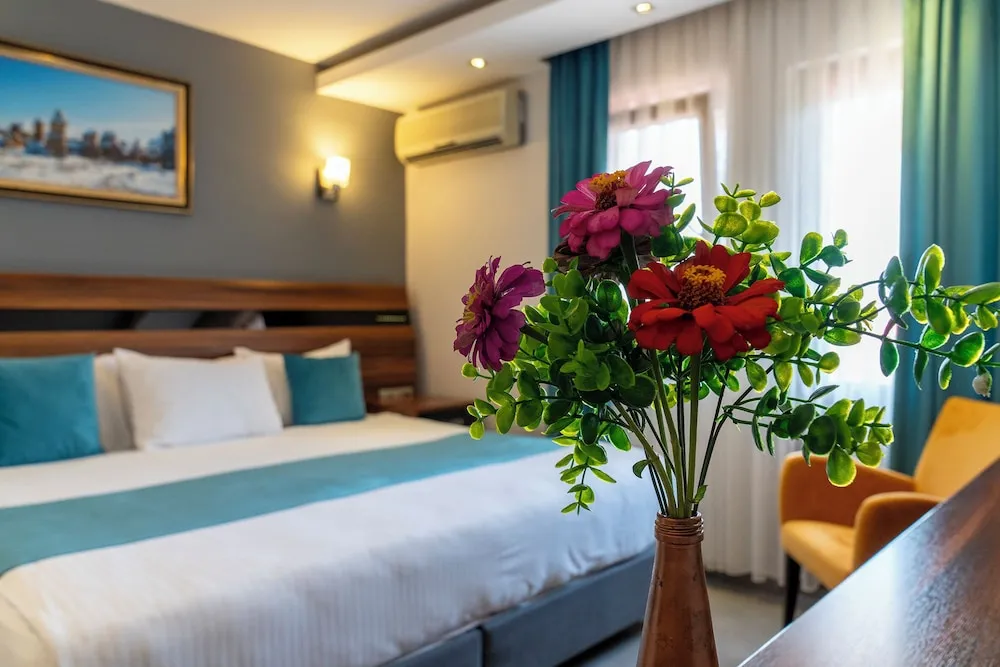 Executive Süit, 1 Yatak Odası