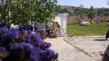 Madam Eleni