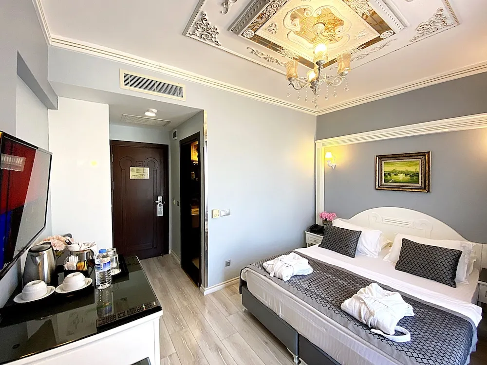 Superior Tek Kişilik Oda, 1 Çift Kişilik Yatak, Balkon, Şehir Manzaralı