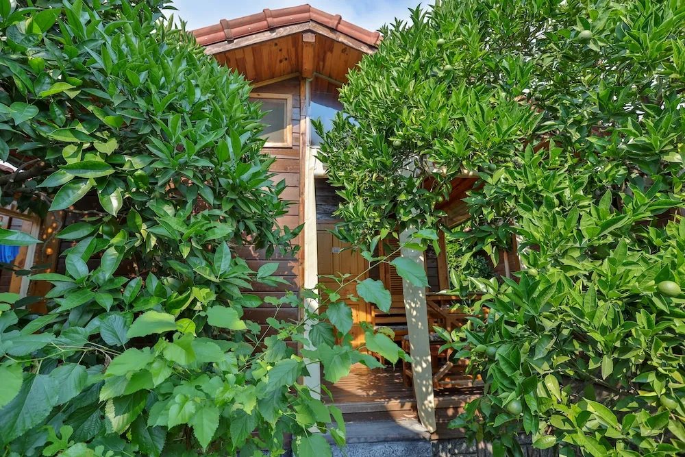 Standart Bungalow