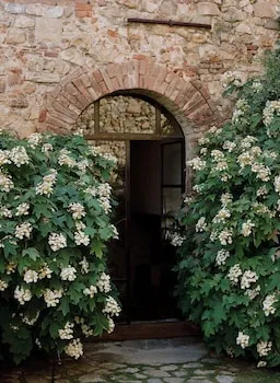 Castello Di Vicarello