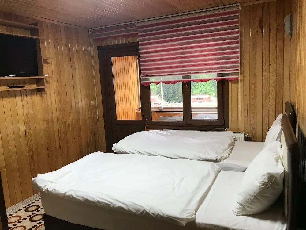 Tek Büyük veya İki Ayrı Yataklı Oda, Sigara İçilebilir, Göl Manzaralı