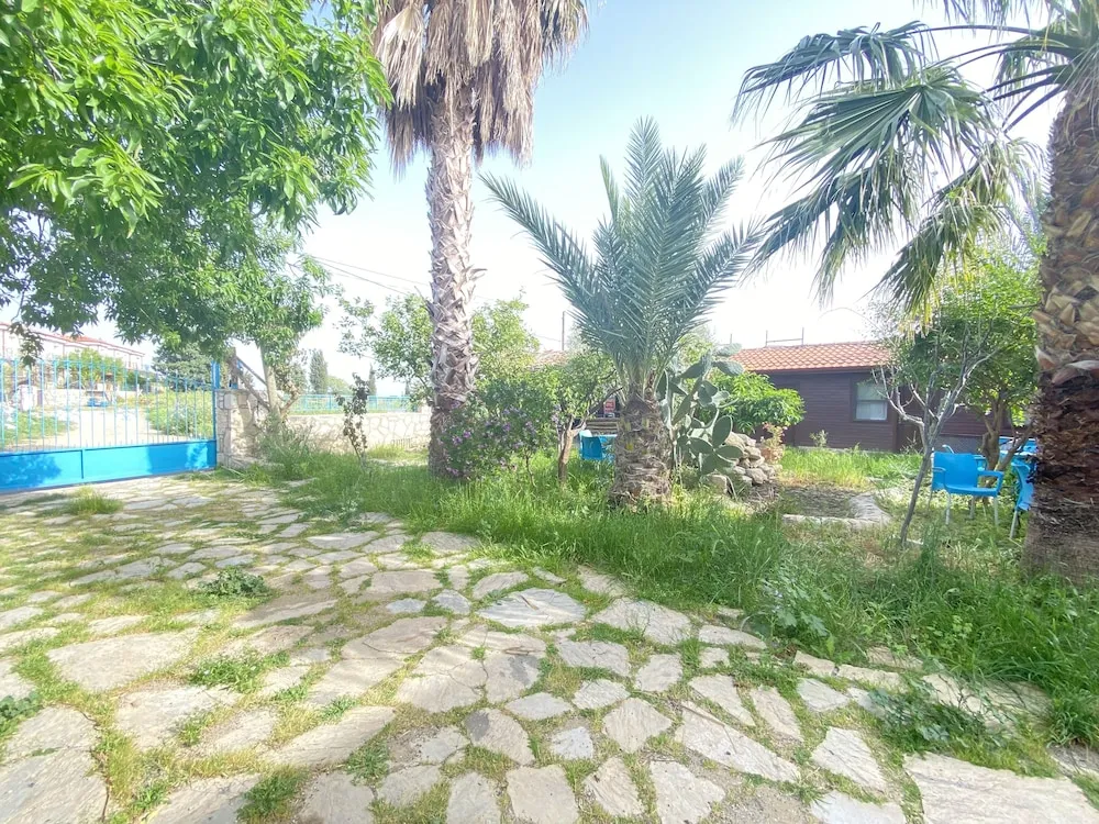 Traditional Daire, 1 Yatak Odası