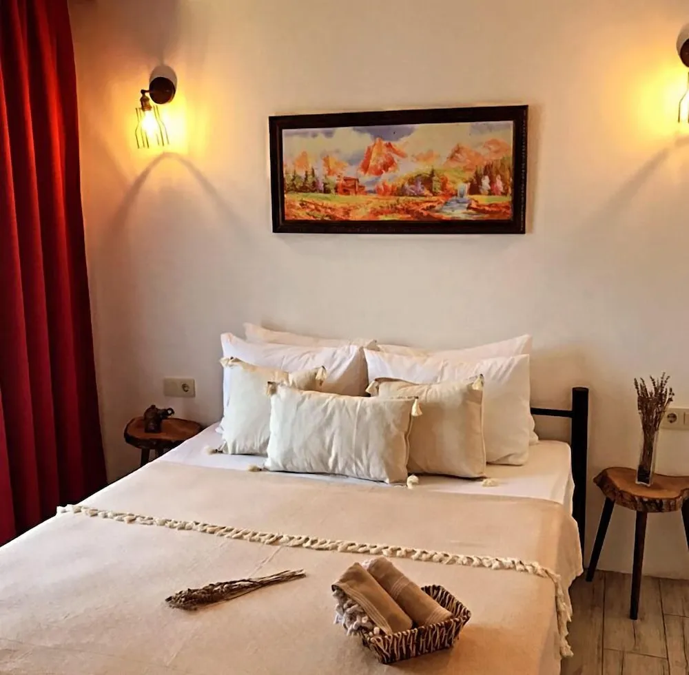 Deluxe Oda, Balkon, Bahçe Manzaralı