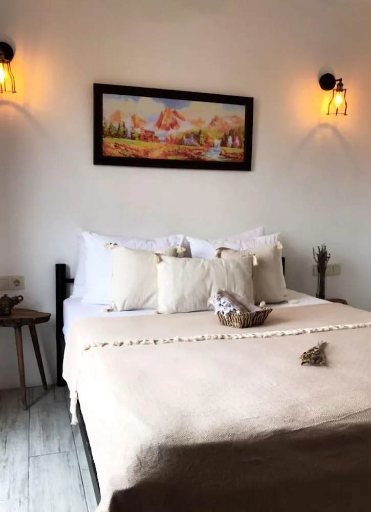 Deluxe Oda, Balkon, Bahçe Manzaralı