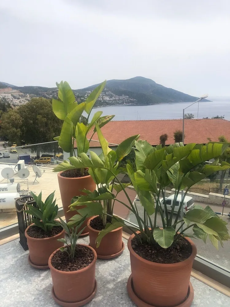 Deluxe Stüdyo Süit, 1 En Büyük (King) Boy Yatak, Sıcak Su Küveti