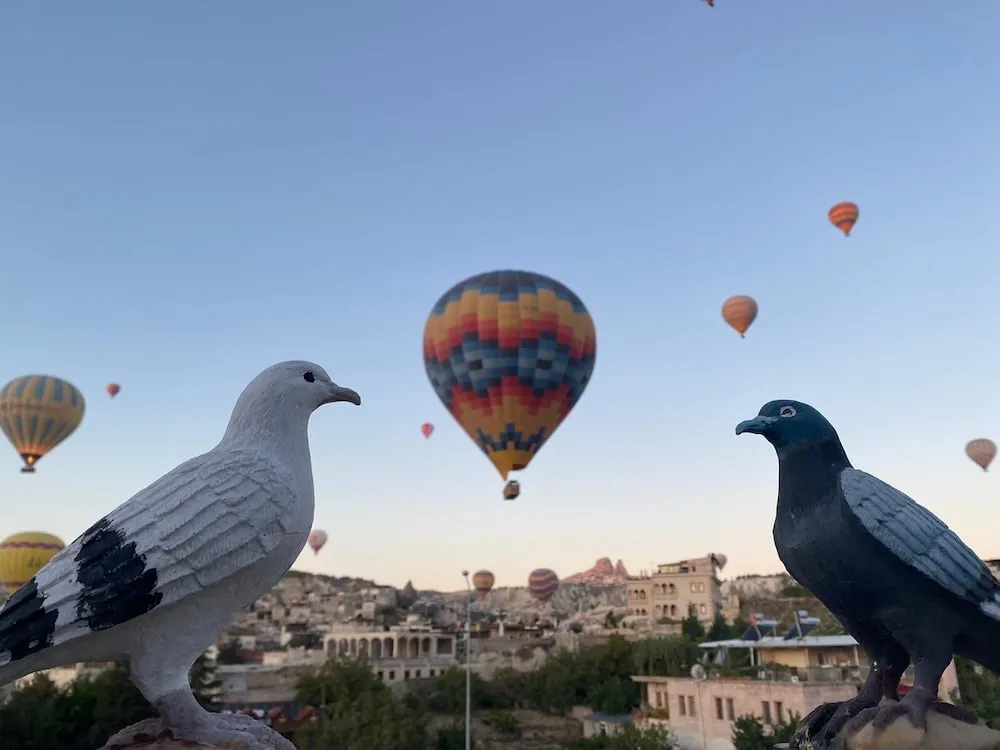 Classic İki Ayrı Yataklı Oda, Şehir Manzaralı