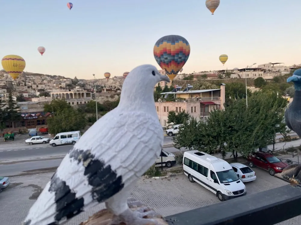 Classic İki Ayrı Yataklı Oda, Şehir Manzaralı
