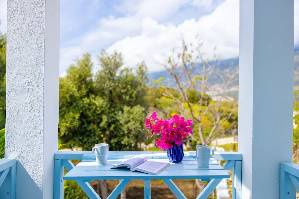 Standard Tek Büyük Yataklı Oda, Bahçe Manzaralı