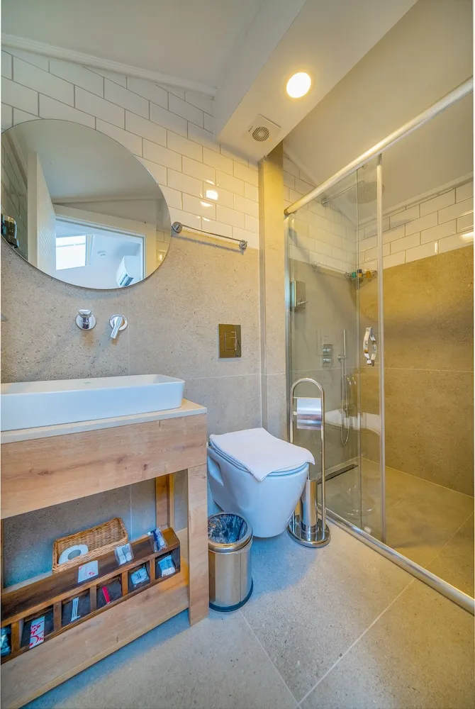 Çatı Katı Süiti (Penthouse)