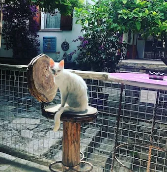 Eski Datça Pansiyon Cafe