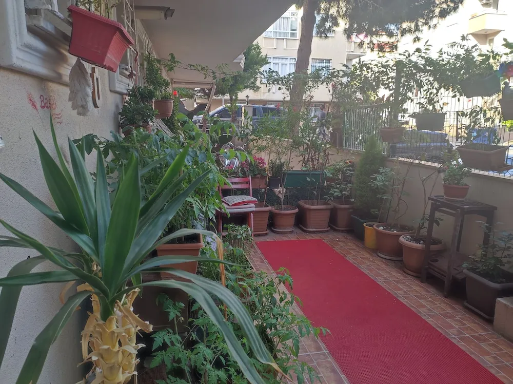 City Tek Büyük Yataklı Oda, 1 Çift Kişilik Yatak