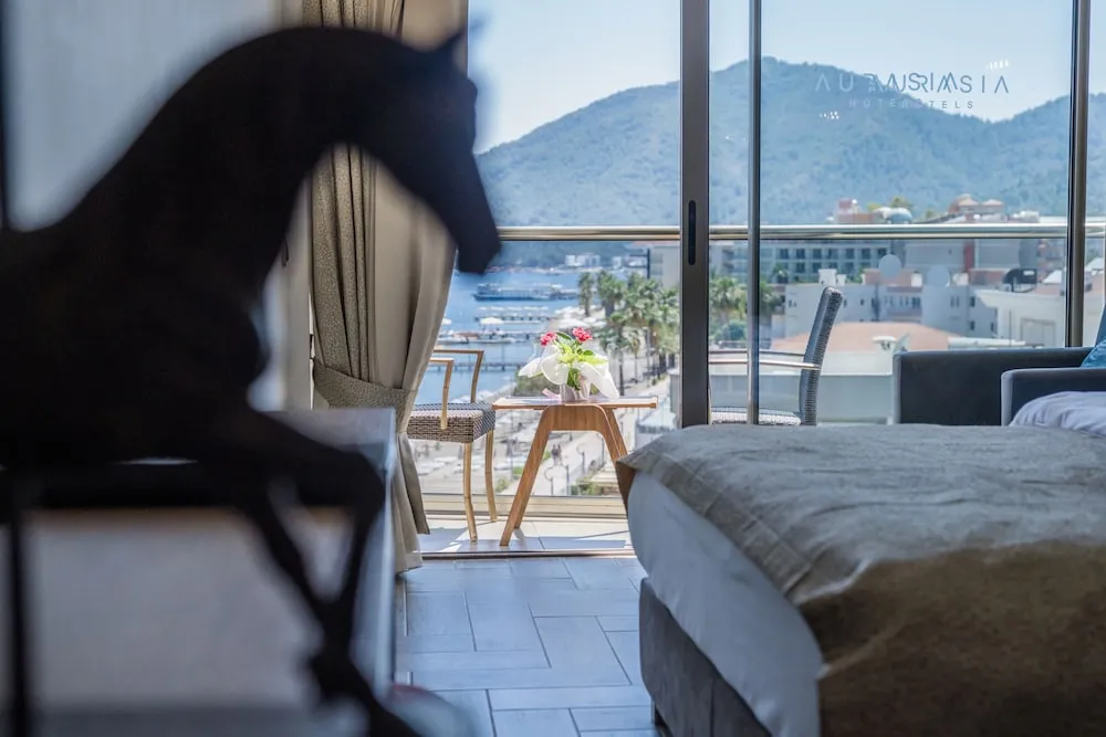Standard Tek Büyük veya İki Ayrı Yataklı Oda (Side Sea View)