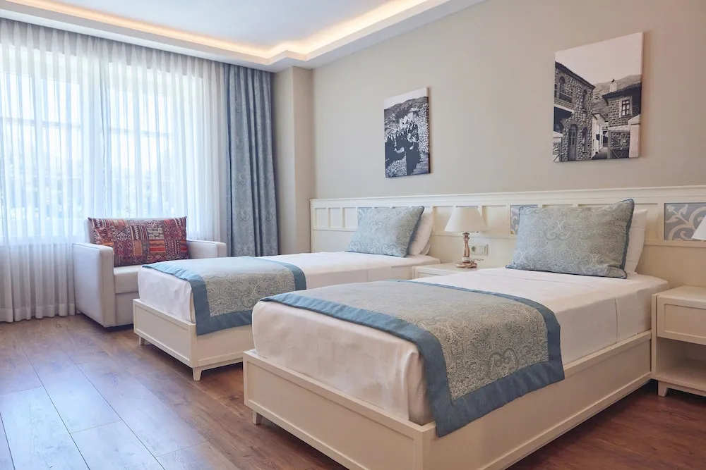 Deluxe Twin Room"