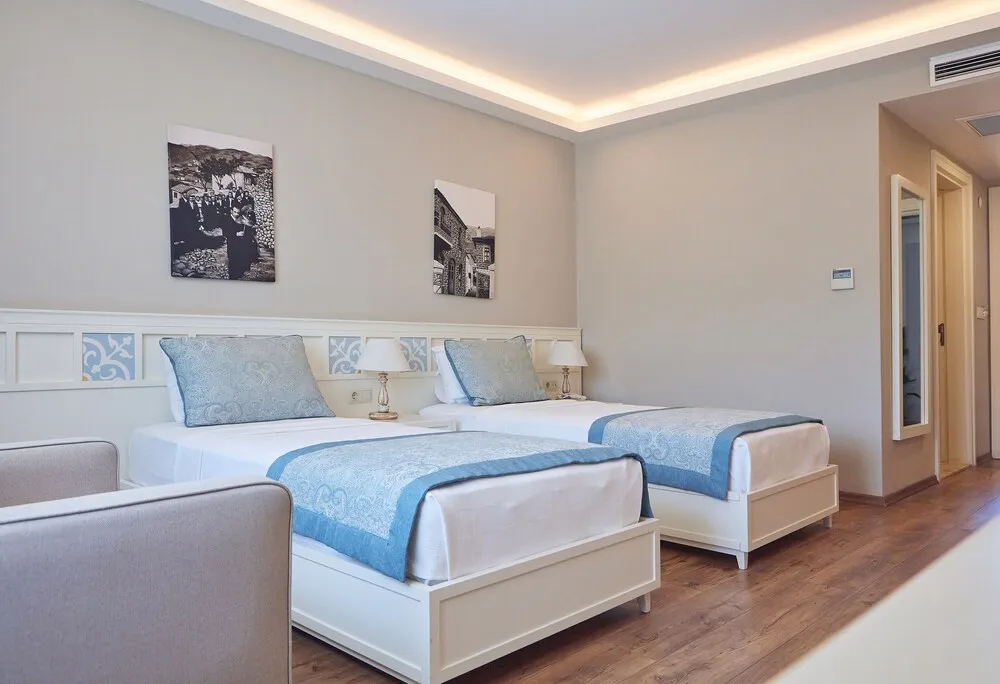 Deluxe Twin Room"