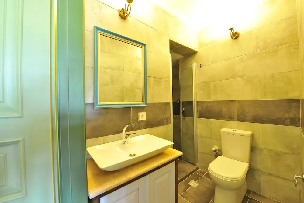 Standard Tek Büyük Yataklı Oda, 1 Çift Kişilik Yatak