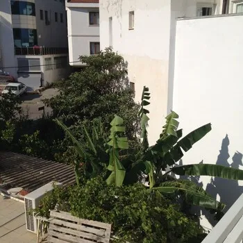 Datça Merkez Apart