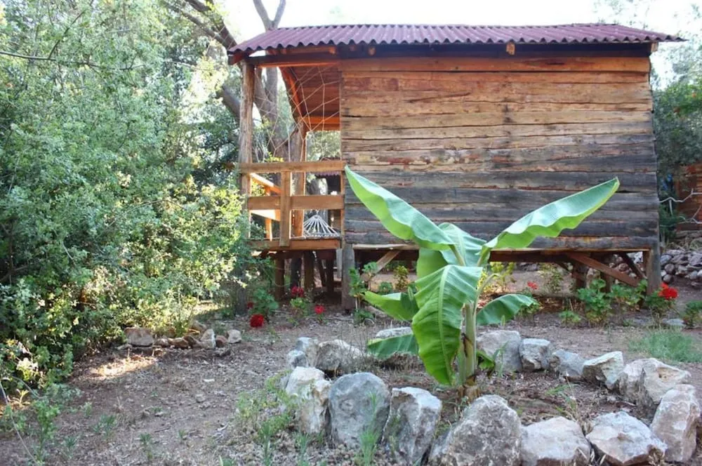 Basic Bungalov (Twin)
