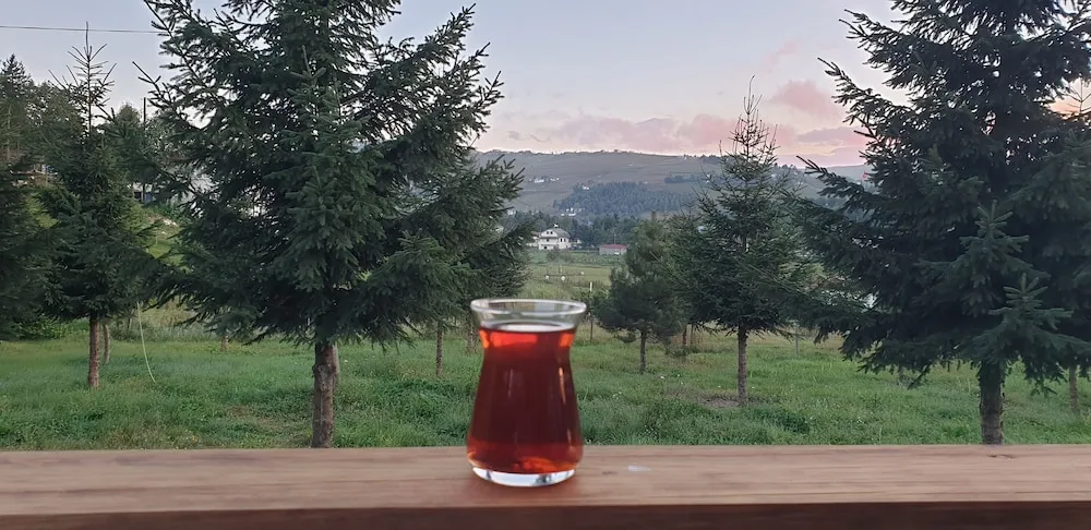 Elite Ağaç Ev