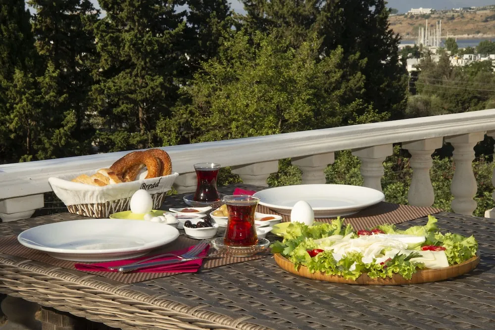 Deluxe Tek Büyük veya İki Ayrı Yataklı Oda