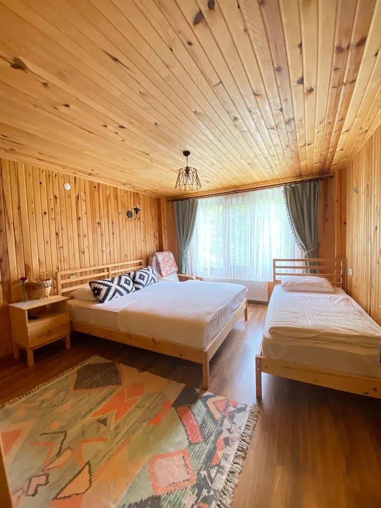 Design Üç Kişilik Oda, Birden Çok Yatak, Sigara İçilmez