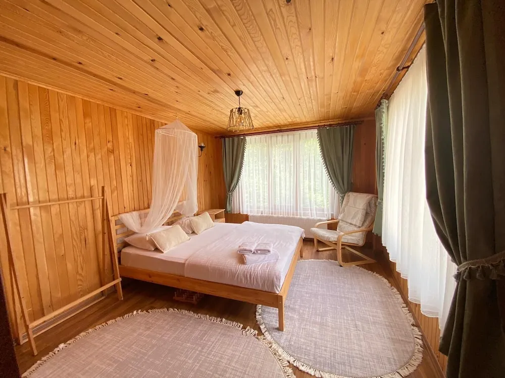 Standard Tek Büyük Yataklı Oda, 1 Büyük (Queen) Boy Yatak