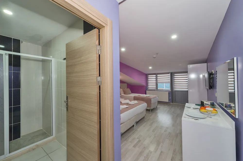 Comfort Çatı Katı (Loft), 1 Çift Kişilik Yatak, Sigara İçilmez