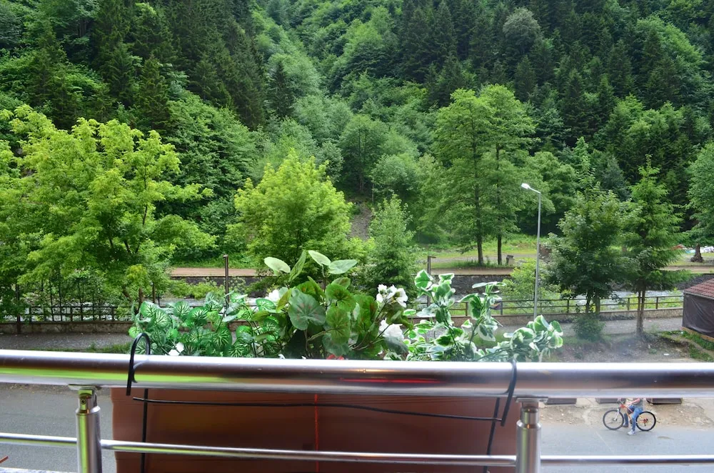 Tek Büyük Yataklı Oda, Balkon