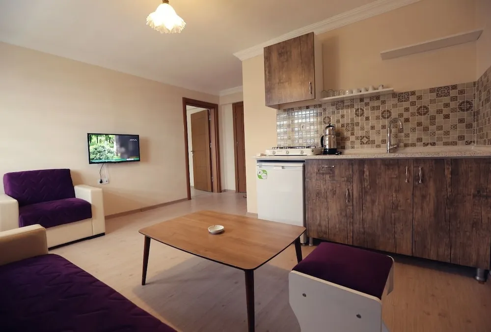 Apart Daire, 1 Yatak Odası
