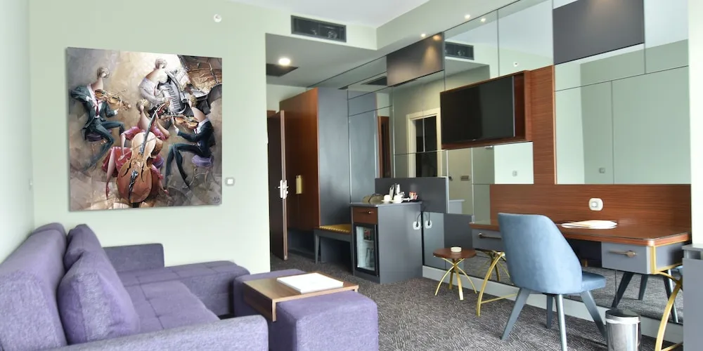 Executive Süit, 1 Yatak Odası, Sigara İçilmez, Şehir Manzaralı
