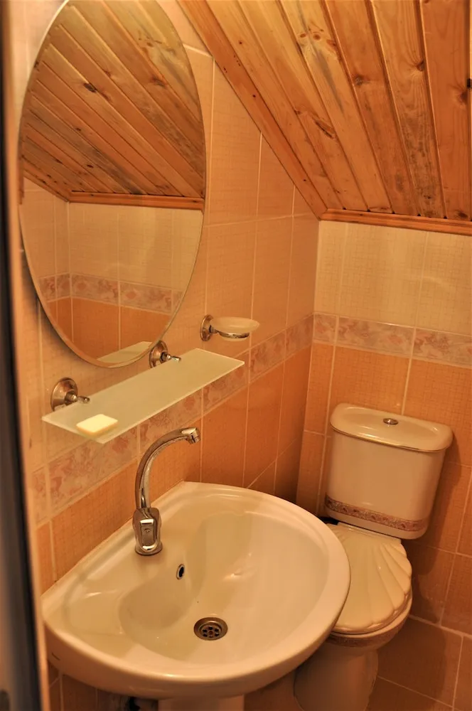 Economy Çatı Katı (Loft)